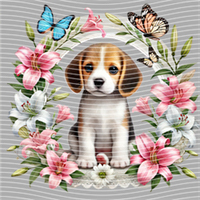 Animal Integration-DW 505